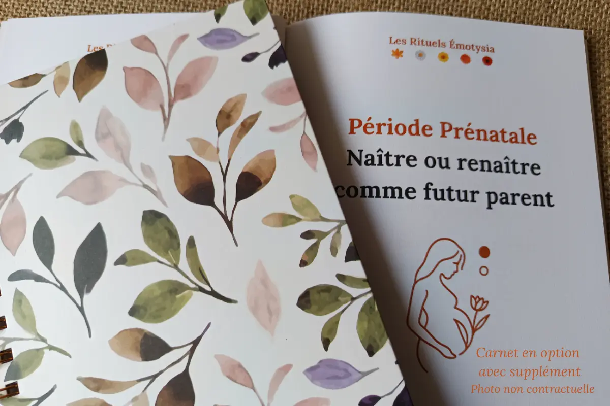 Coffret thématique Prénatal : Naître ou renaître comme futur parent – « Je vis une naissance ou l'arrivée d'un enfant »