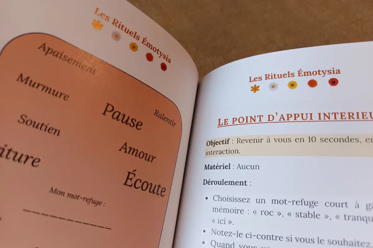 Livre Bien-être "Professionnelles de l'accompagnement et du lien" – « Je vis un deuil, une perte ou un rôle d'aidant »